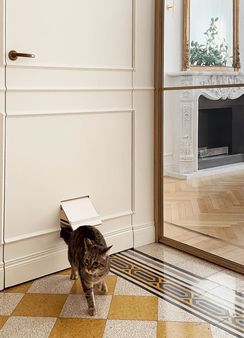 Gatto vicino alla porta con boiserie e parquet a spina di pesce nel passaggio