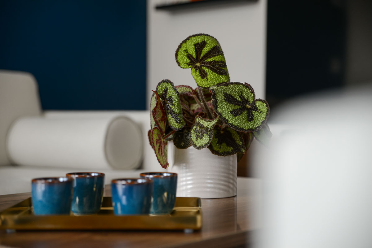 Renewall � Ufficio 28 WEB Renewall � Ufficio 28 WEB